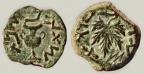 Ampliar